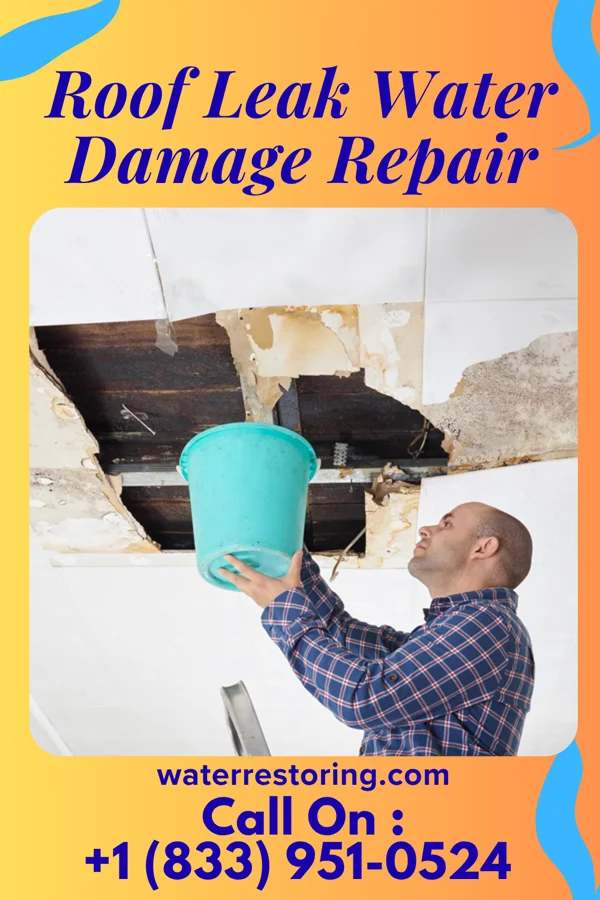 Roof Leak Water Damage Repair in Farmers Branch, TX