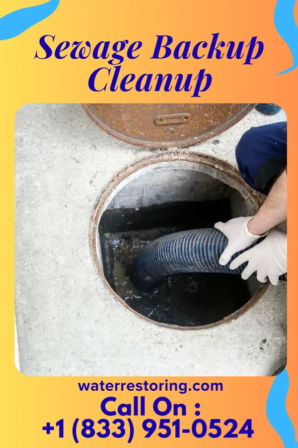 Sewage Backup Cleanup in Farmers Branch, TX